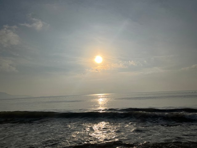IMG_1726.jpeg
