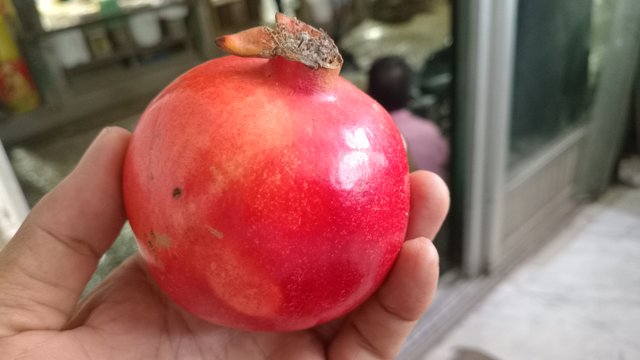 20250915_190706.jpg