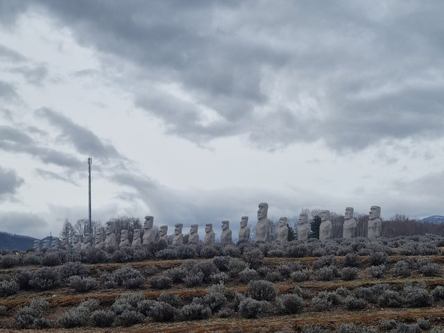 20250419_142311.jpg