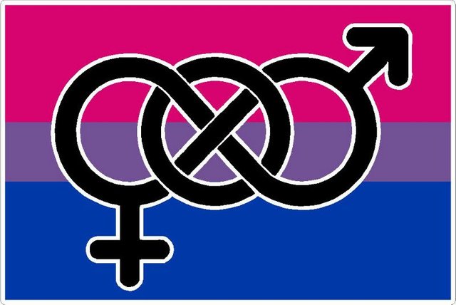 Bisexual-Awareness-or-Queer-Awareness-Week-bisexual-flag-1029688-fa56892a.jpeg