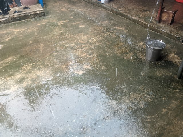 1000623042.jpg