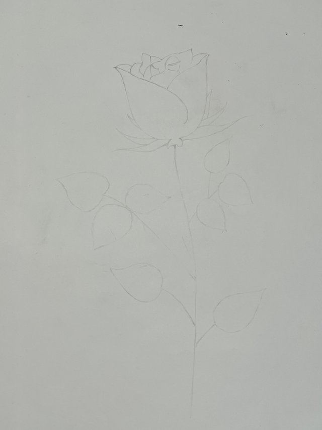 IMG_2750.jpeg