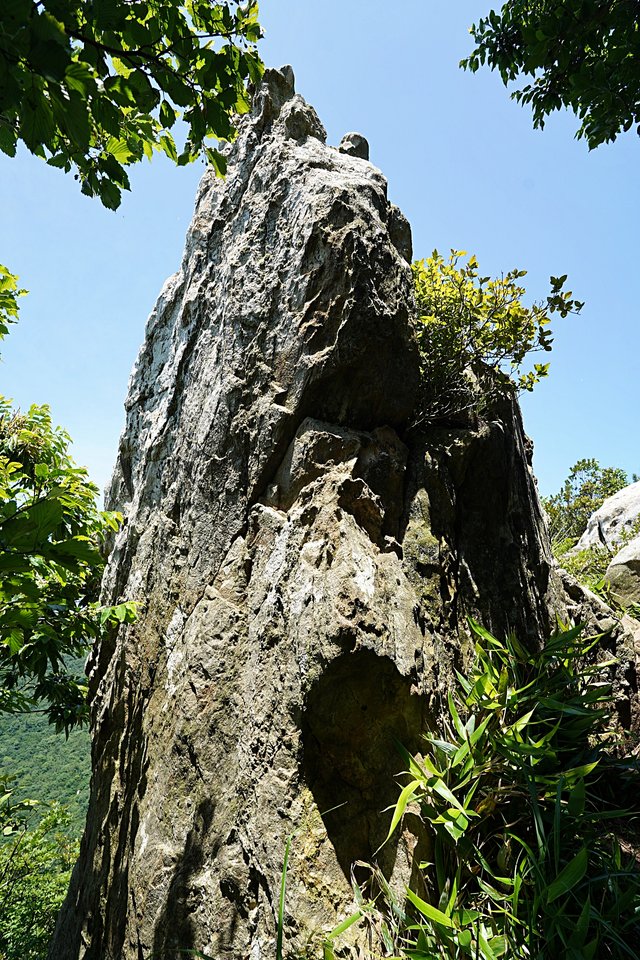 b-DSC08190.JPG