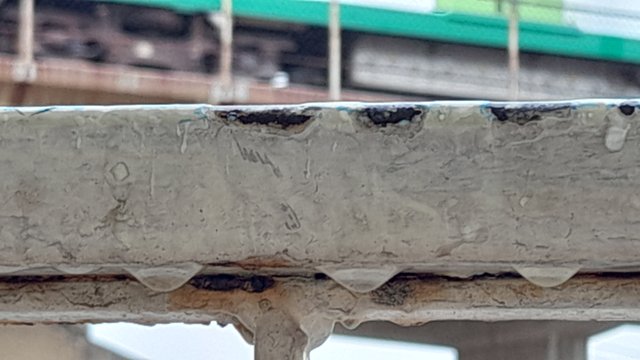 20250816_104847.jpg