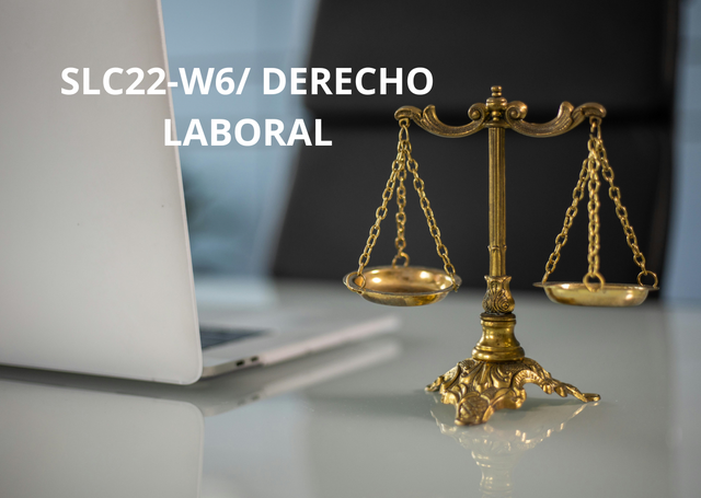 SLC22-W6 DERECHO LABORAL.png