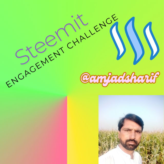 Steemit Engagement Challenge_20241103_131436_0000.png