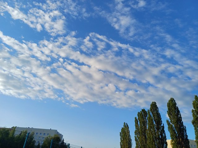 20250630_055540.jpg