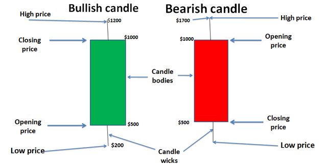 Bullish and Bearish Candles.png