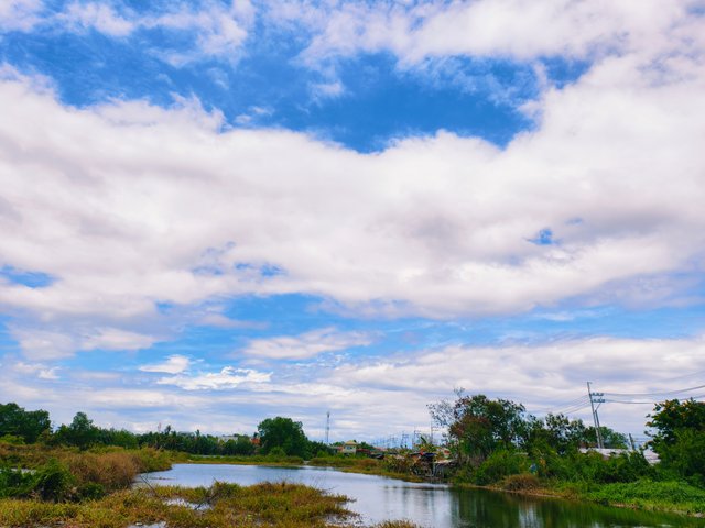 IMG_20250622_123717.jpg