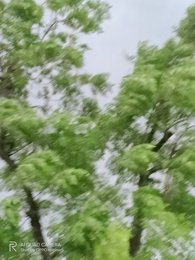 IMG20210908082507.jpg