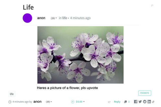 flower.jpg