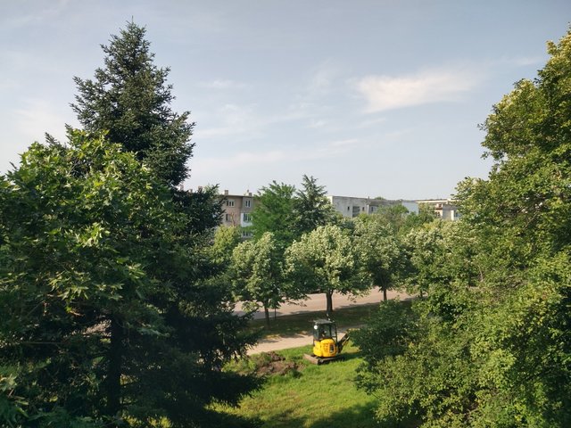 IMG_20250606_090624_HDR.jpg
