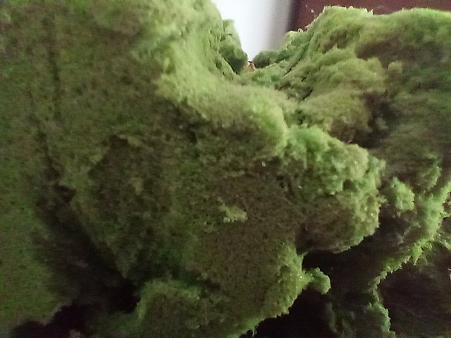 1000814895.jpg