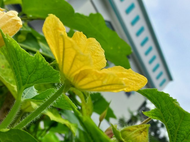20230823_115513.jpg