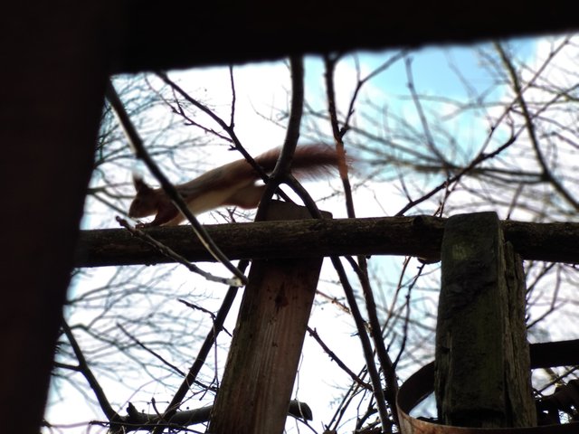 IMG_20191201_131428.jpg