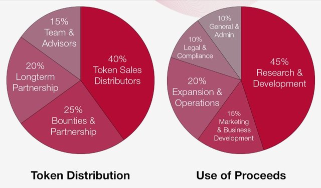 TokenDistribution2extra.JPG