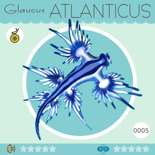 0005-GlaucusAtlanticus.png