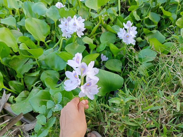 vM1pGHgNcyCXUWJECrZbvn1NMPj1oFGUo3gYfF3NNPRD9XAyfoyvabCF4fLGEnbpEywUgvNXEnGppjNuWmcgyuYWtrCkLMSbYWwc3dxsJMXrVt3SbvTM8meQKR9dCi38yLrGZhG.jpg