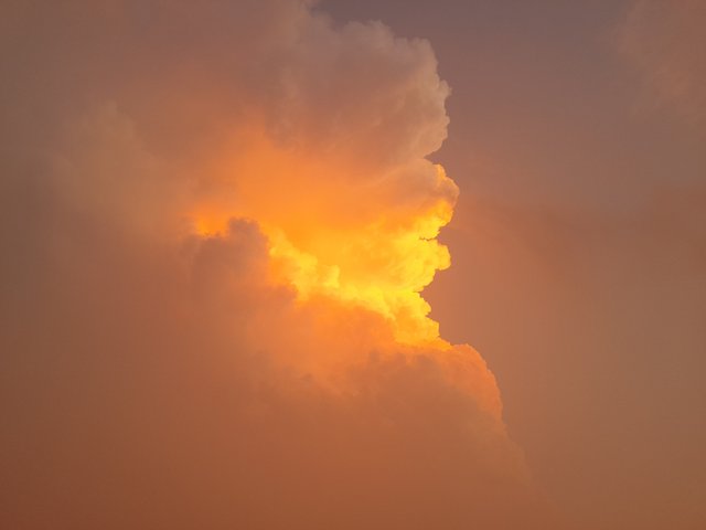 1000121055.jpg