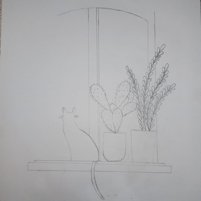 1000067751.jpg
