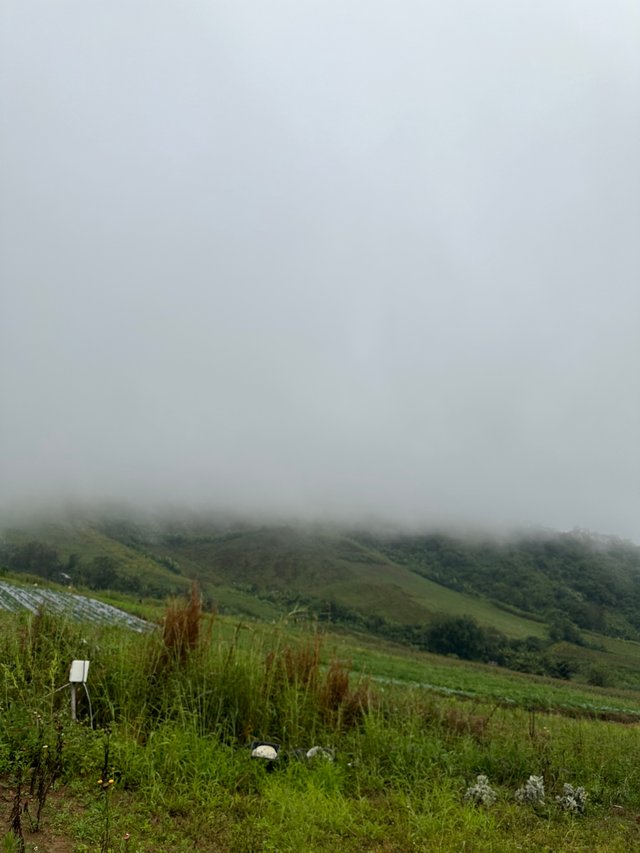 Phu Thap Boek10.jpg