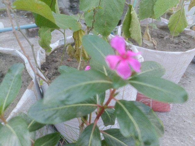 IMG20250303161144_01.jpg