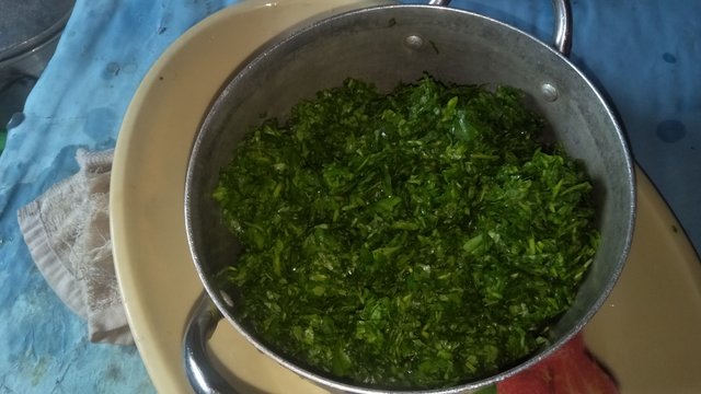 IMG20250910101810.jpg