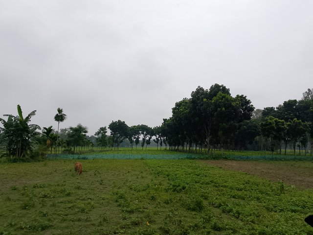 1000047263.jpg