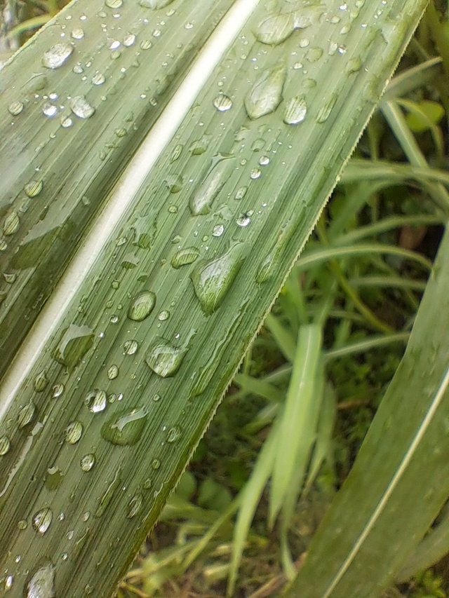20250528_141910.jpg