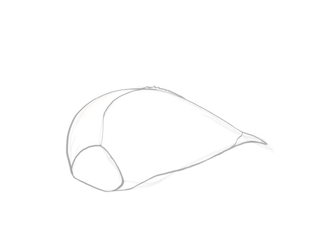 garlic_00.jpg