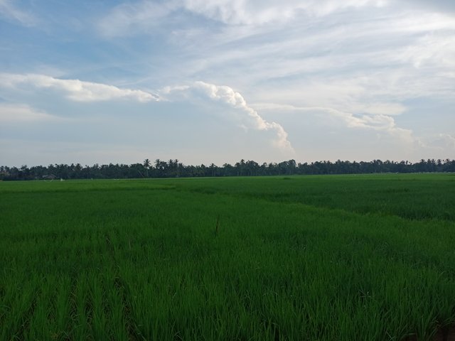 IMG20250731081034.jpg