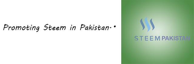 steem-pakistanbanner.png