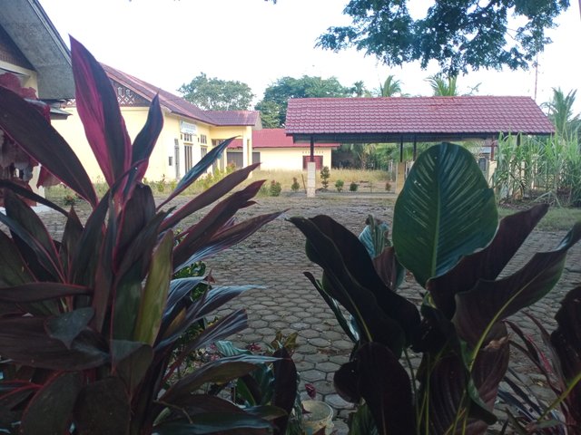 IMG20250430071521.jpg