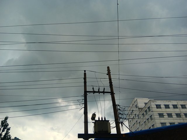 1000034814.jpg