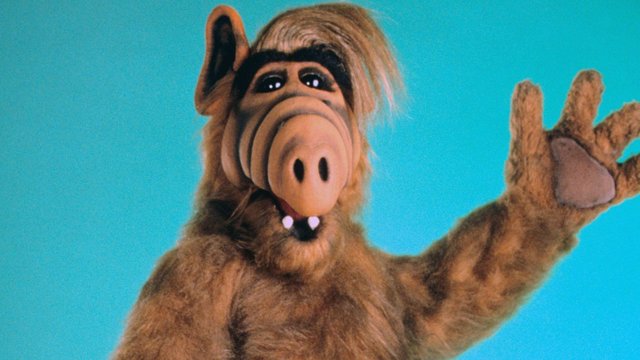 alf-warner-bros-e1533220615626-2938150613.jpg