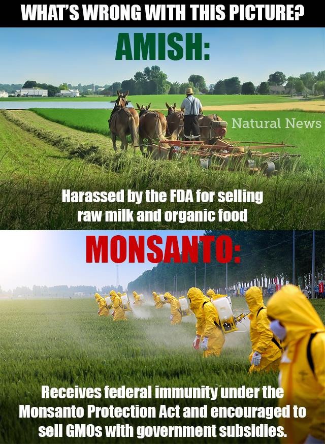 Monsanto-Amish.jpg