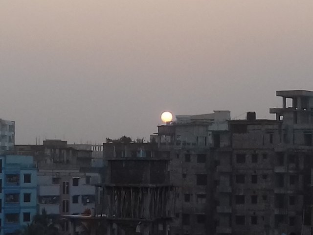 20201211_165603.jpg