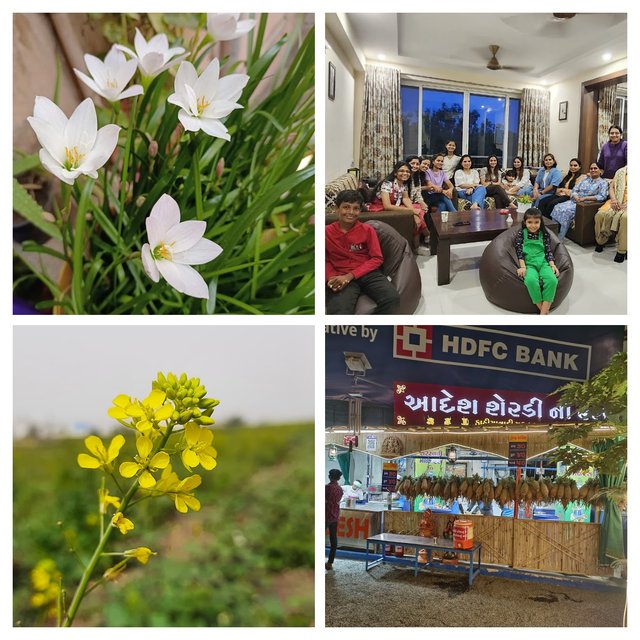 20220123_124056-COLLAGE.jpg