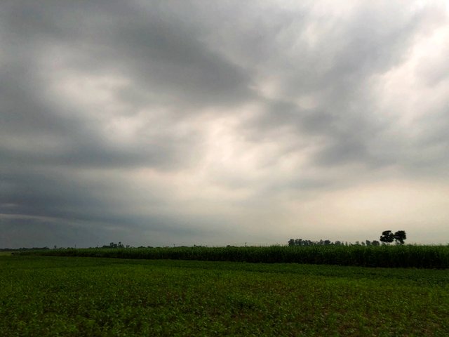 IMG_1986-01.jpeg