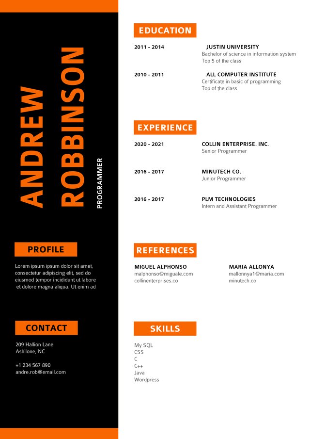 Programmer Resume 1.jpg