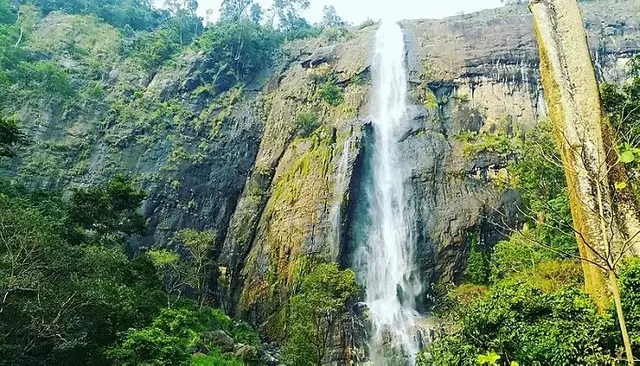 Diyaluma-Falls-ella.webp