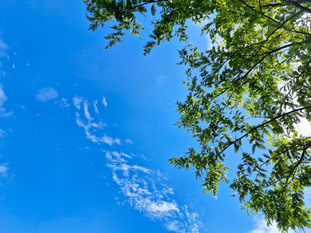 1000028505.jpg