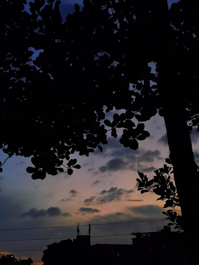 20250625_190739.jpg