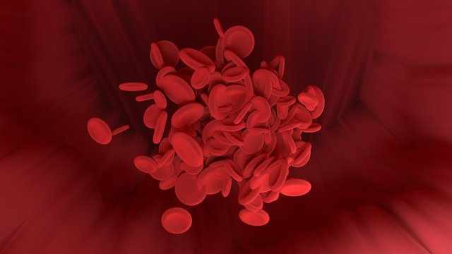 red-blood-cell-4216070_1280.jpg