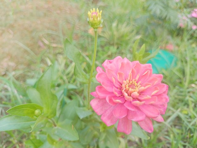IMG20240522174835.jp