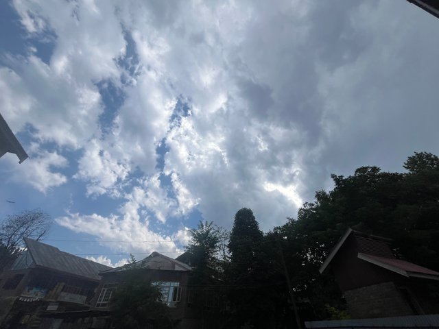 IMG_4172.jpeg