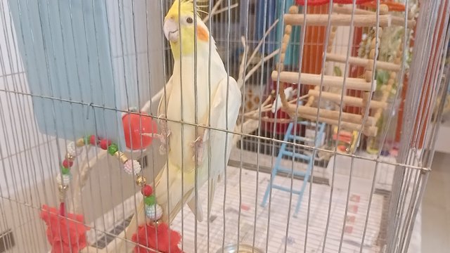 IMG20250606193114.jp