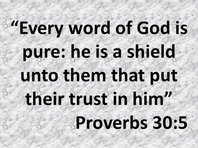 Spiritual Growth. Every word of God is pure, he is a shield unto them that put their trust in him. Proverbs 30,5.jpg