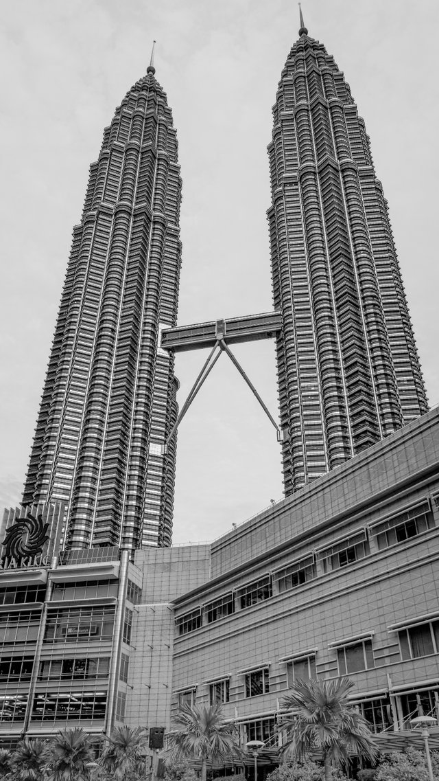 DSC04545-Edit.jpg