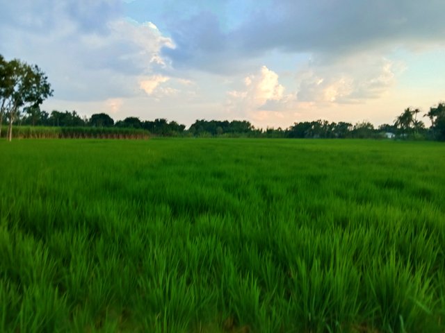 IMG_20250914_150341.jpg